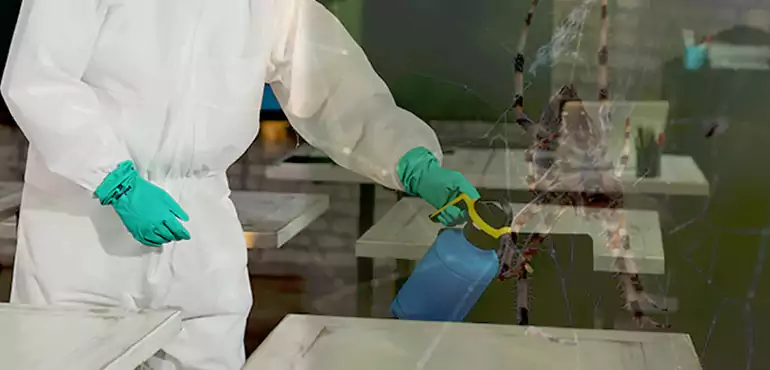 Why Buyers Still Want Homes With Pest Infestations in Little Rock, AR?