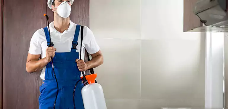 Why Little Rock Homeowners Choose Us When Pests Make Selling Difficult