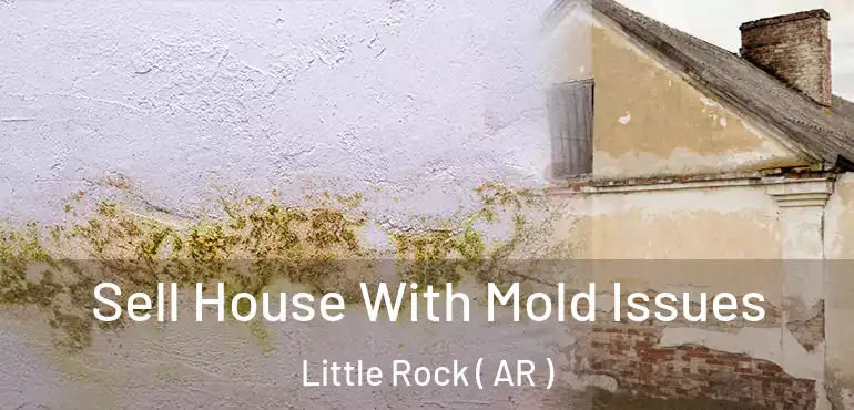 Sell House With Mold Issues Little Rock ( AR )